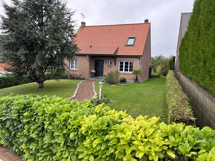 Cours, allées, terrasses (pavage, dallage)